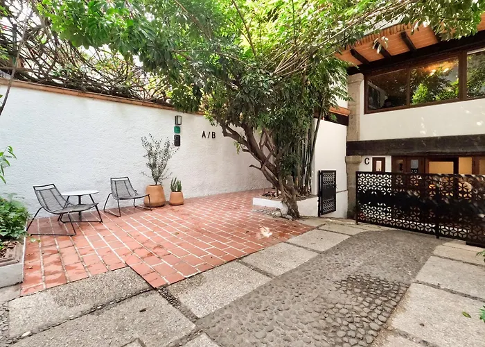 Mi Zona Coyoacán México DF