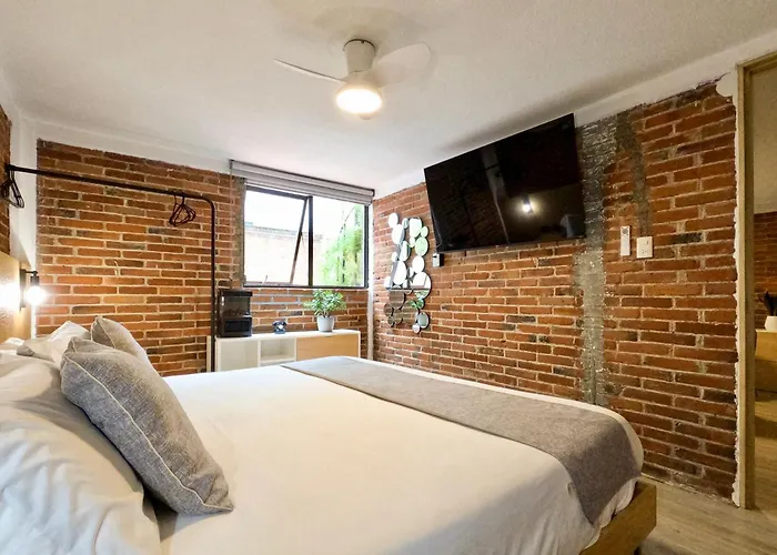 Mi Zona Coyoacán *