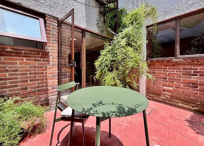 Mi Zona Coyoacán * México DF